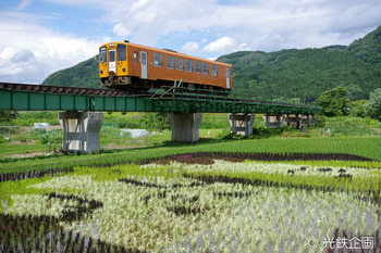 IMG3261901.jpg