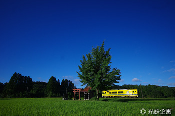 IMG3366901.jpg