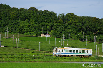 IMG3384201.jpg