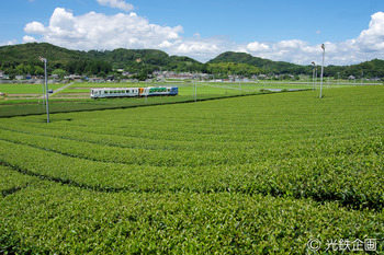 IMG3398601.jpg
