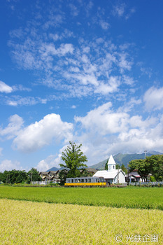 IMG3442401.jpg