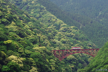 IMGK4099_MT2000.jpg
