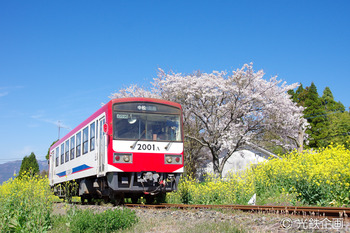 IMGP217201.jpg