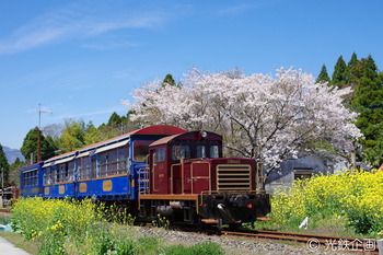IMGP219201.jpg