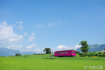 IMGP425701.jpg