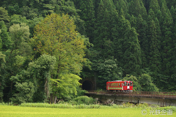 IMGP472201.jpg