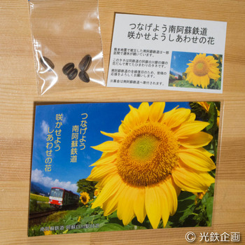 IMGP609301.jpg