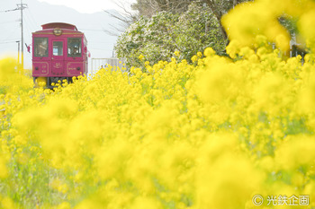 IMGP711201.jpg