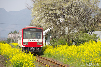 IMGP720801.jpg