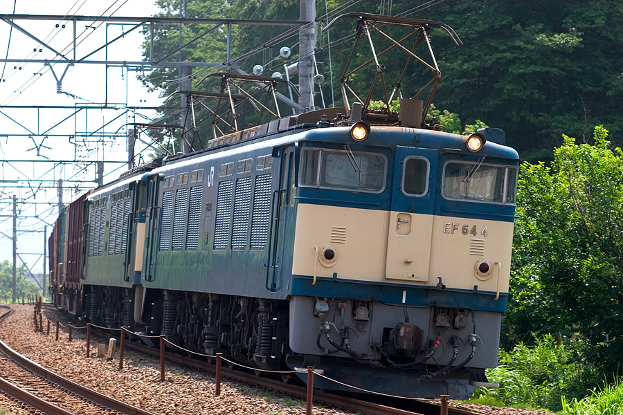 写真日記
