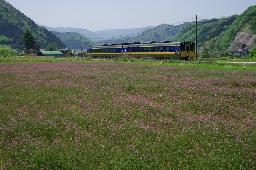 IMGK1166_renge