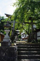 IMGK3411_hayabusa_jinja