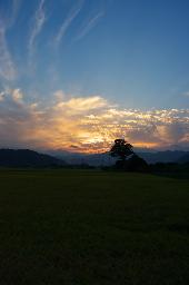 IMGK4114_kurenai