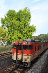 IMGK4365_kiha40