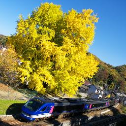 IMGK5418_HOT7000_great-tree
