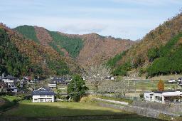 IMGK5627_icho