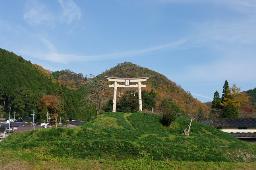 IMGK5635_tori