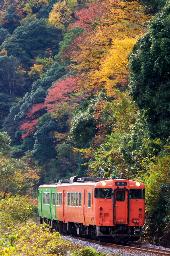 IMGK5707_kiha47hc
